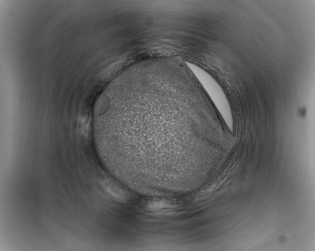 X0000099510177200805291157