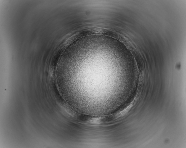 X0000099510178200805291157