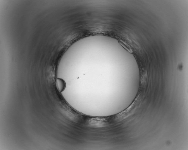 X0000099510179200805291157