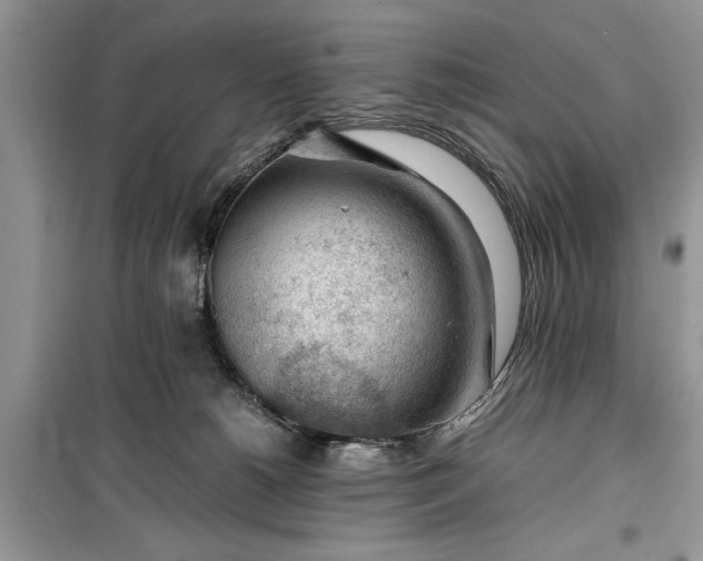 X0000099510180200805291157