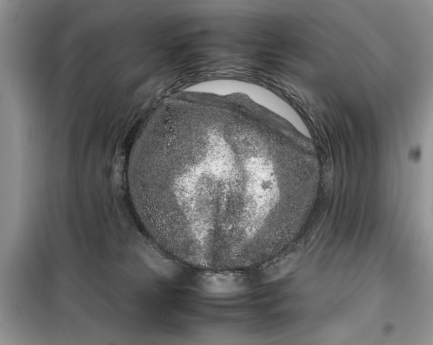 X0000099510181200805291157