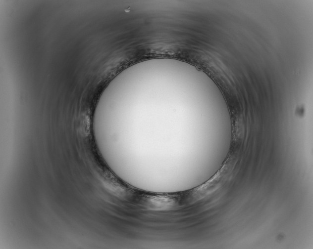 X0000099510183200805291157