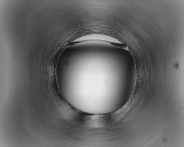 X0000099510184200805291157