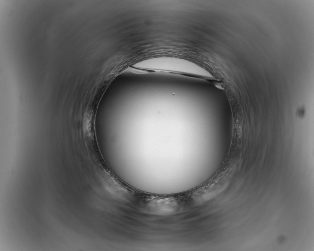 X0000099510185200805291157