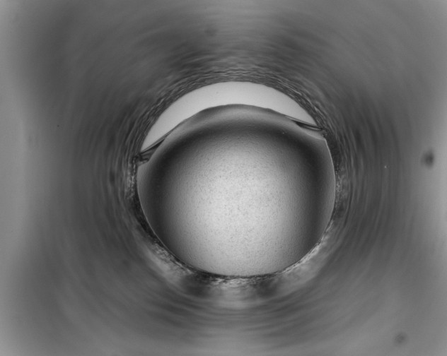 X0000099510186200805291157