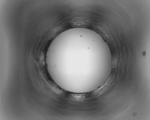 X0000099510187200805291157