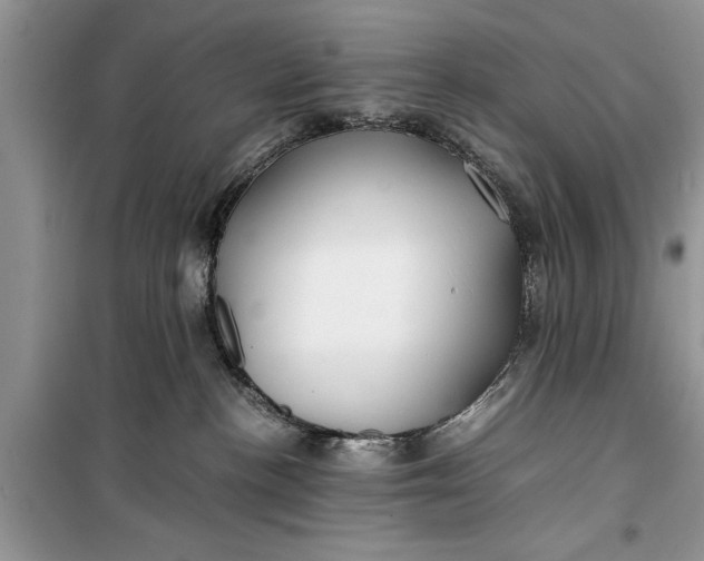 X0000099510188200805291157