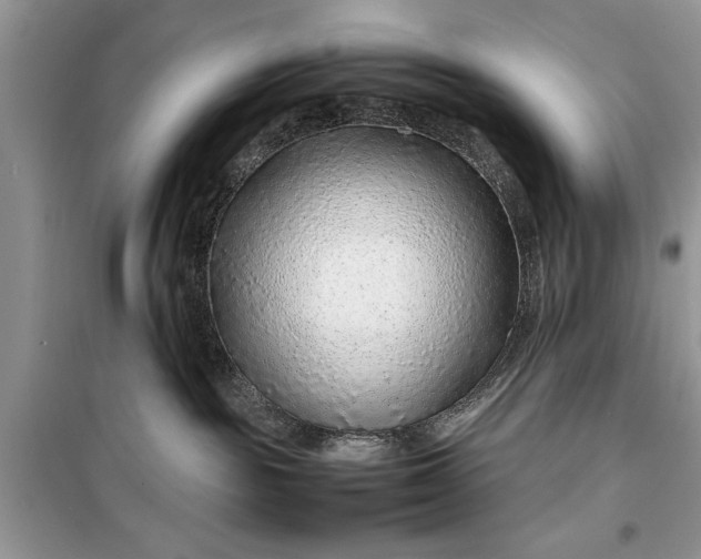 X0000099510189200805291157