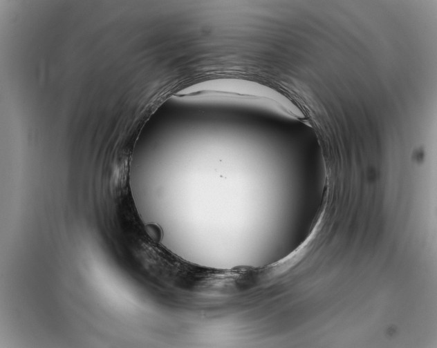 X0000099510190200805291157