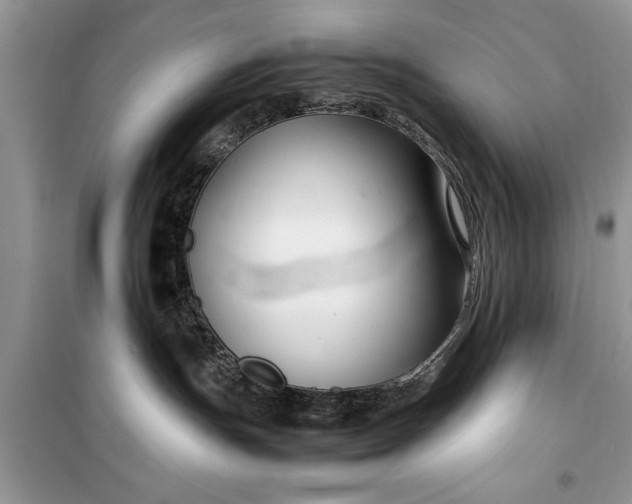 X0000099510191200805291157