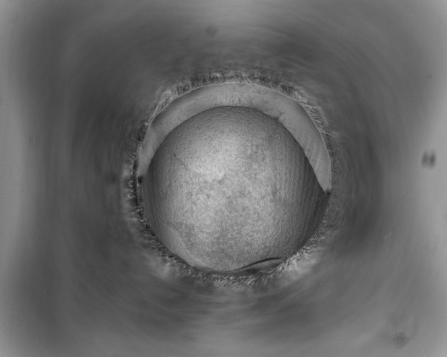 X0000099510192200805291157