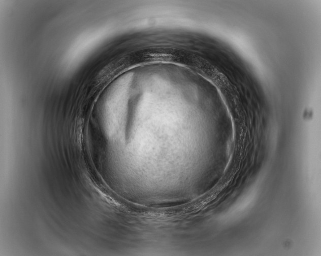 X0000099510194200805291157