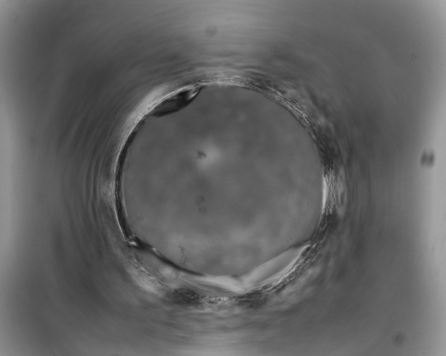 X0000099510195200805291157