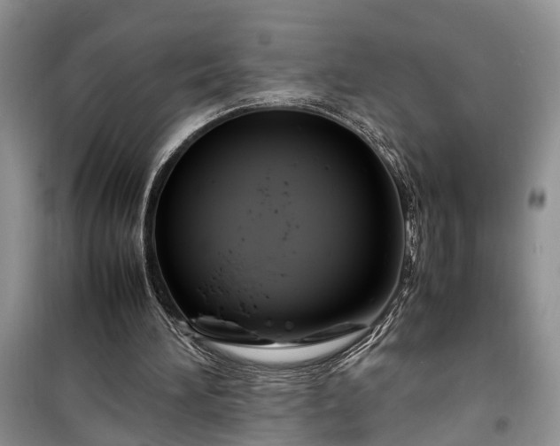 X0000099510196200805291156