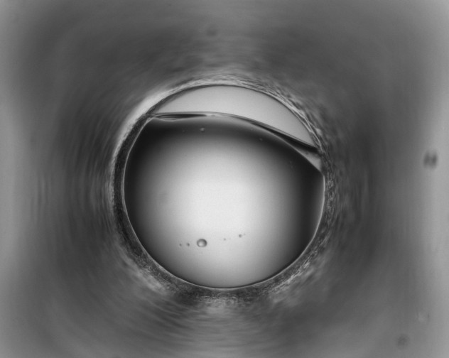 X0000099510200200805291156