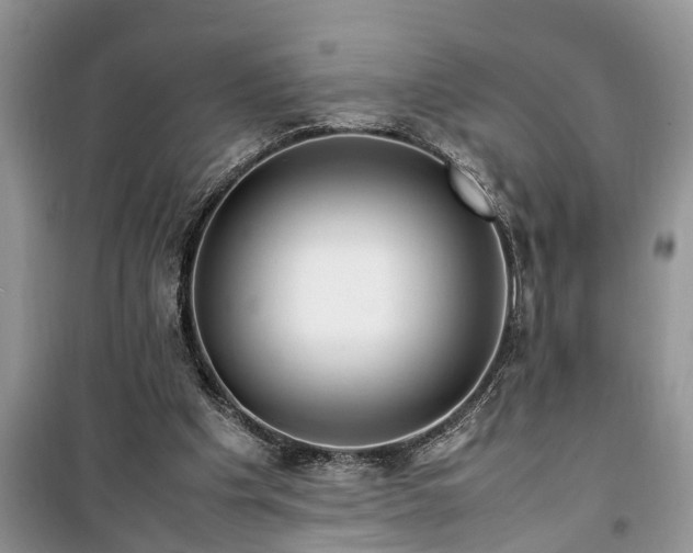 X0000099510201200805291156