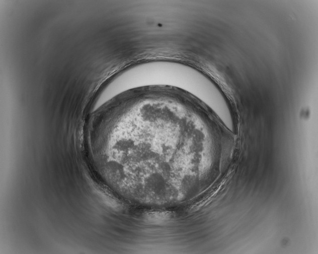 X0000099510202200805291156