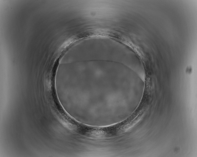 X0000099510203200805291156