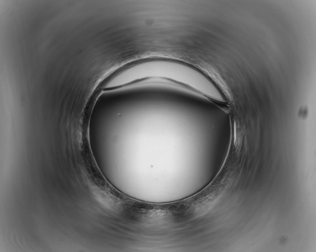 X0000099510204200805291156