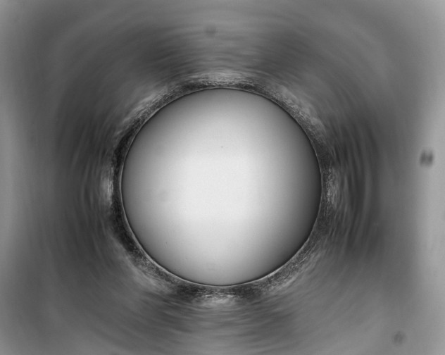 X0000099510206200805291156