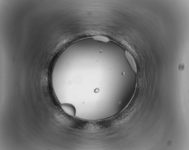 X0000099510207200805291156