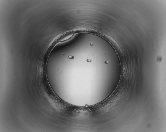 X0000099510208200805291156