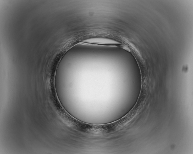 X0000099510209200805291156