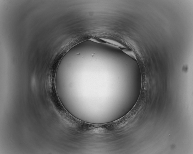 X0000099510210200805291156