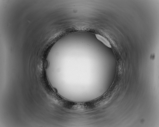 X0000099510211200805291156