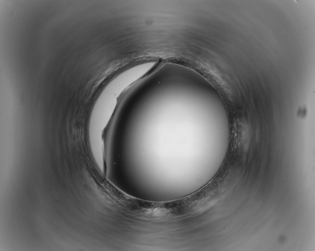 X0000099510212200805291156