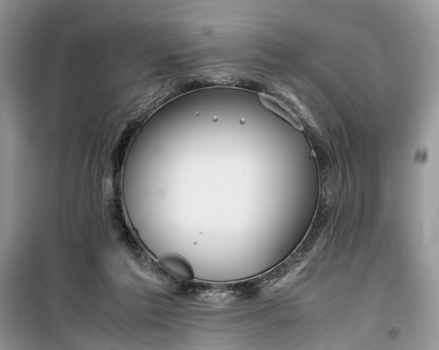 X0000099510213200805291156