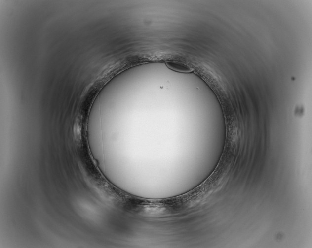 X0000099510214200805291156