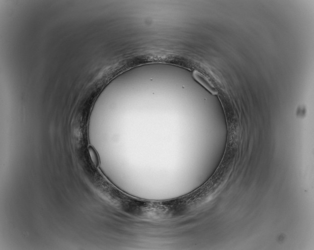 X0000099510215200805291156