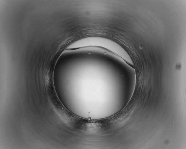 X0000099510216200805291156