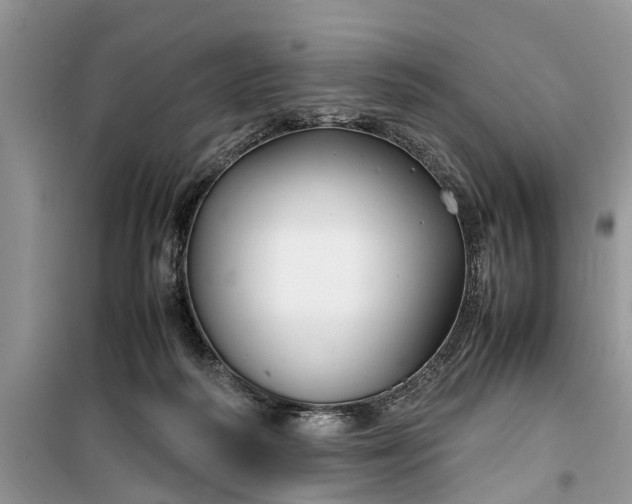 X0000099510218200805291156