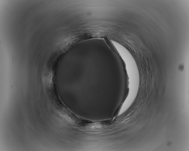 X0000099510219200805291156