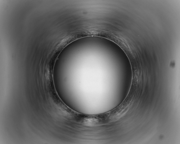 X0000099510220200805291156