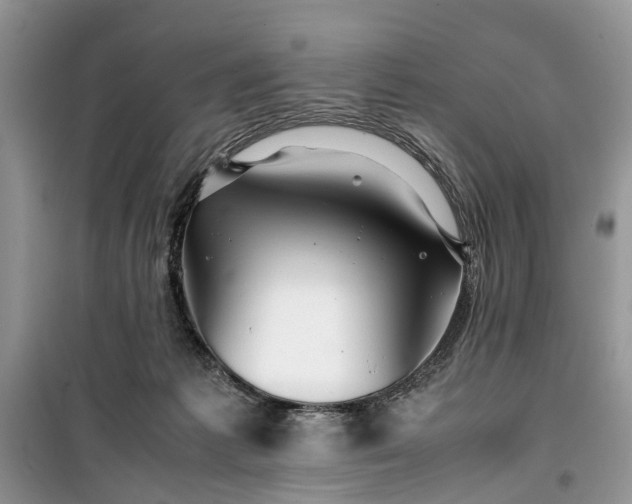 X0000099510221200805291156