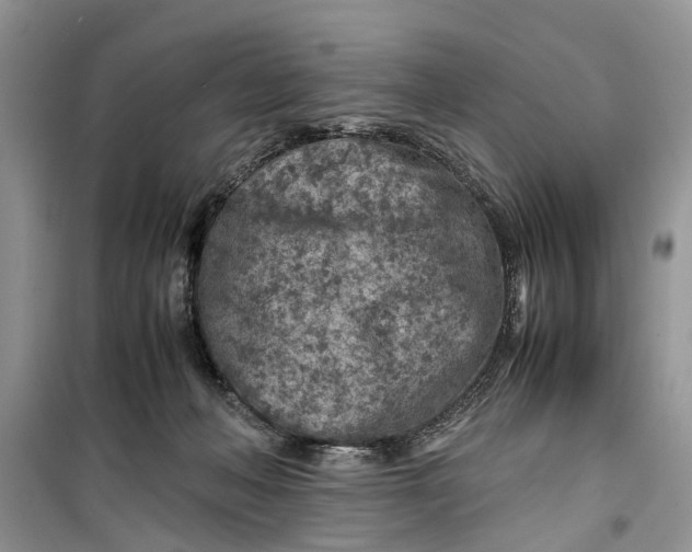 X0000099510222200805291156