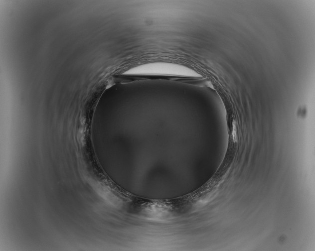 X0000099510223200805291156