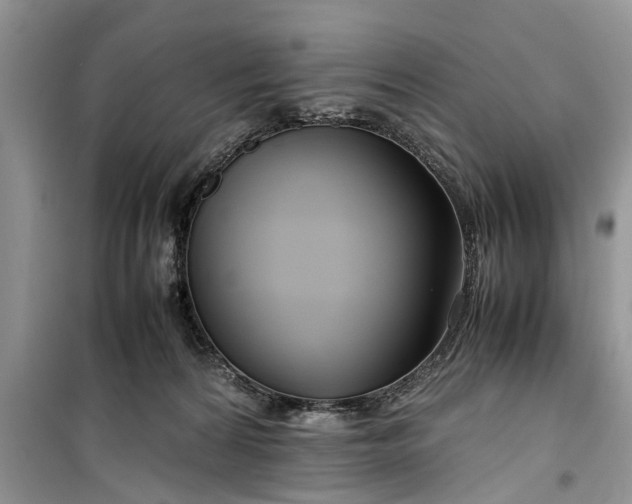 X0000099510224200805291156