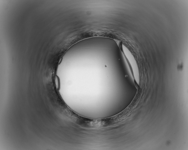 X0000099510225200805291156