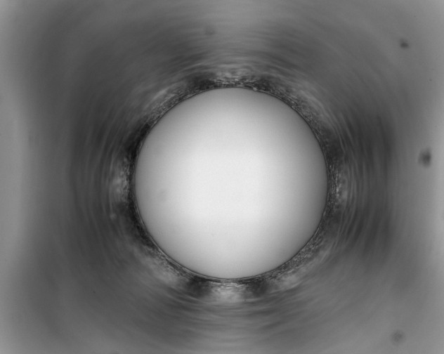 X0000099510226200805291156