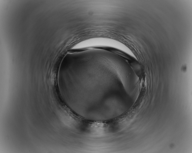 X0000099510227200805291156