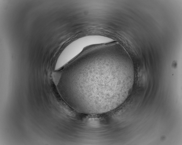 X0000099510228200805291156