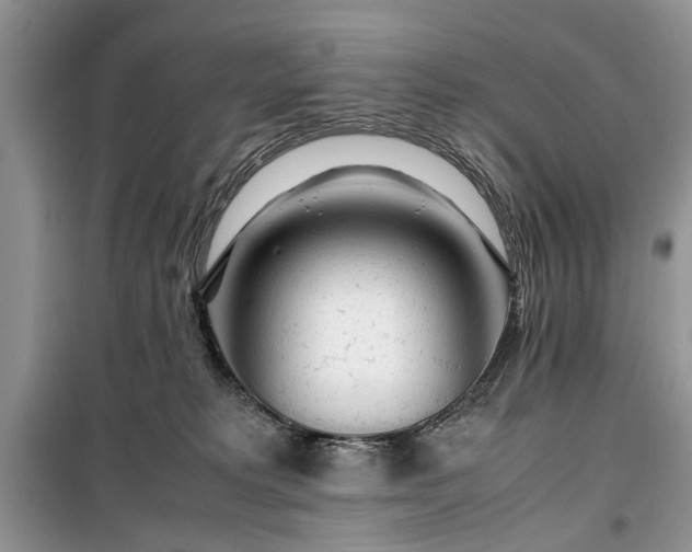 X0000099510229200805291156