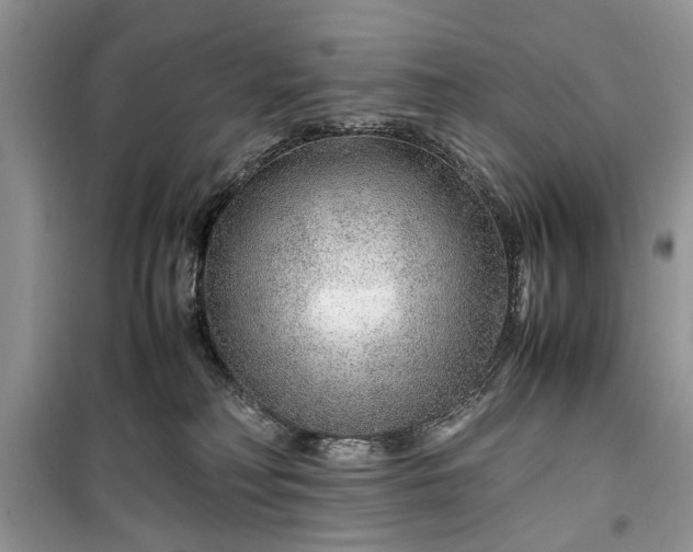 X0000099510230200805291156