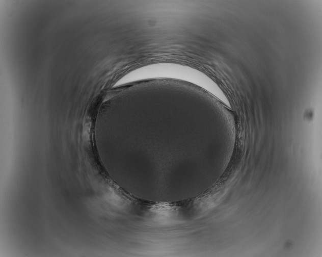 X0000099510231200805291156