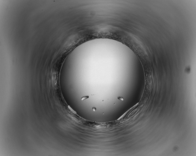 X0000099510232200805291156