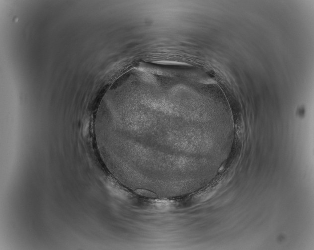 X0000099510233200805291156